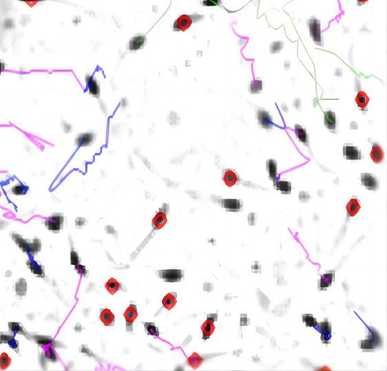 计算机辅助精液分析精子活力分析